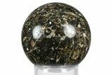 Polished Freshwater Snails (Elimia) In Limestone Sphere - Wyoming #369039-1